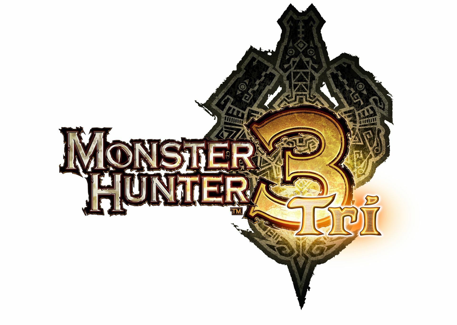 Monster Hunter Tri (3) - Imagen 24